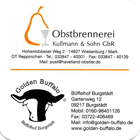 potsdam p-bb bornstedter quad 1b (185-obstbrennerei-schwarzorange) 